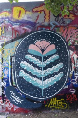 Fleur-de-lune-2_Virginie-Contier 