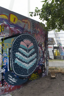 Fleur-de-lune-3_Virginie-Contier 