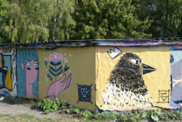 Virginie-Contier_Mur_Berlin_corneille_1 