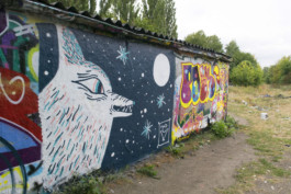 Virginie-Contier_loup_mur_Berlin 