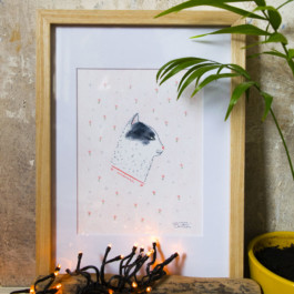 Chat_Virginie-Contier_Imge-menu 