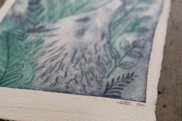 Virginie Contier_Appel de la foret_zoom 