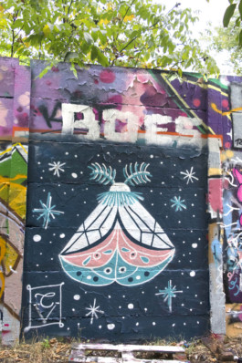 Virginie-Contier_Papillon-de-nuit-1 