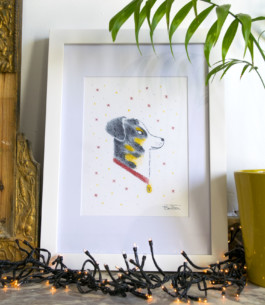 Vanille-Virginie-Contier 