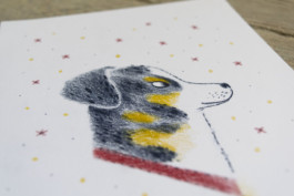 Vanille-détails-1_Virginie-Contier 