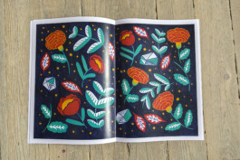 Virginie-Contier_Le-jardin-d'Asuka_Imge3