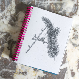 Virginie-Contier_Onid_Couv 