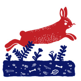 Virginie Contier_lièvre Journal 