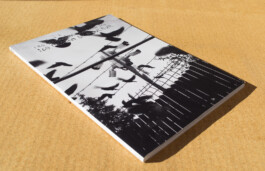 Miam édition, illustration digitale par Virginie Contier 